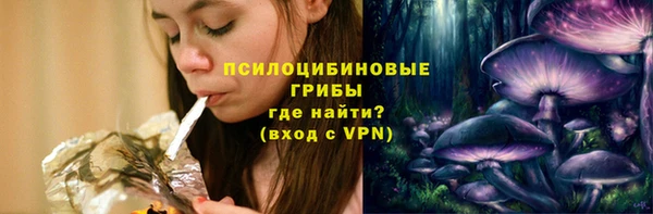 бошки Осинники
