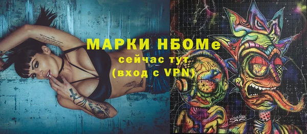 шишки Нягань