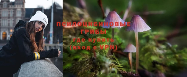 бошки Осинники