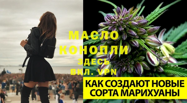 шишки Нягань