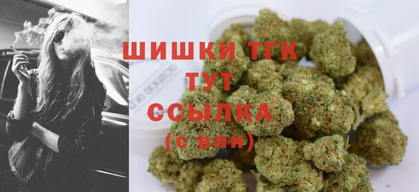 бошки Осинники