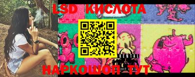 крисы Будённовск