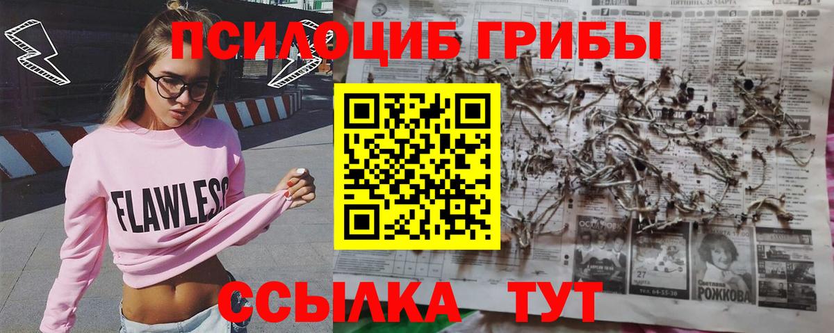 Усолье-Сибирское  Галлюциногенные грибы GOLDEN TEACHER  Вход с VPN 