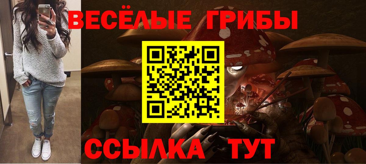 Псилоцибиновые грибы Cubensis Усолье-Сибирское